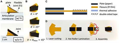 Efficient reciprocating burrowing with anisotropic origami feet